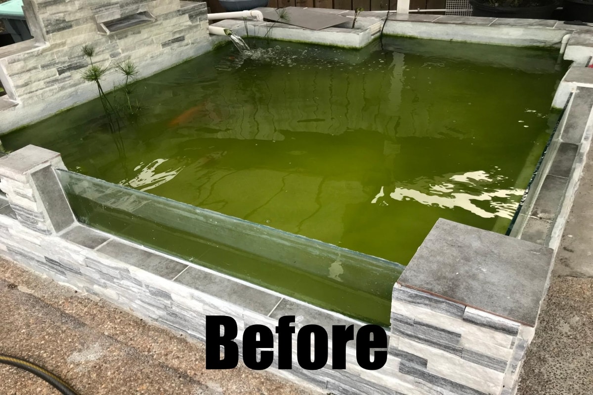 Compare SUN CUV-136 Aquarium UV Sterilizer and Clarifier Before image