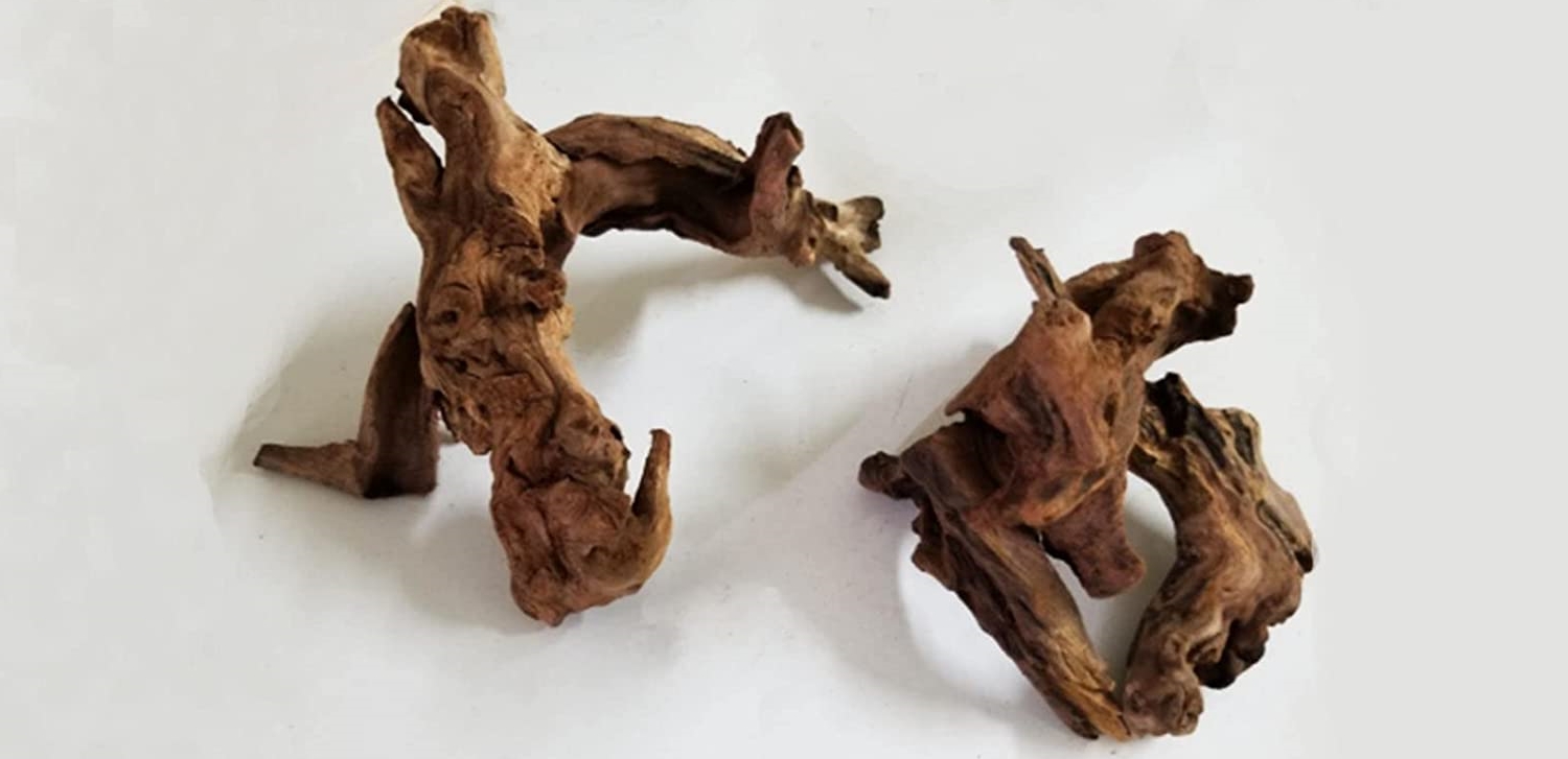 How To Sterilize Driftwood For Aquariums? Sterilizer Guide